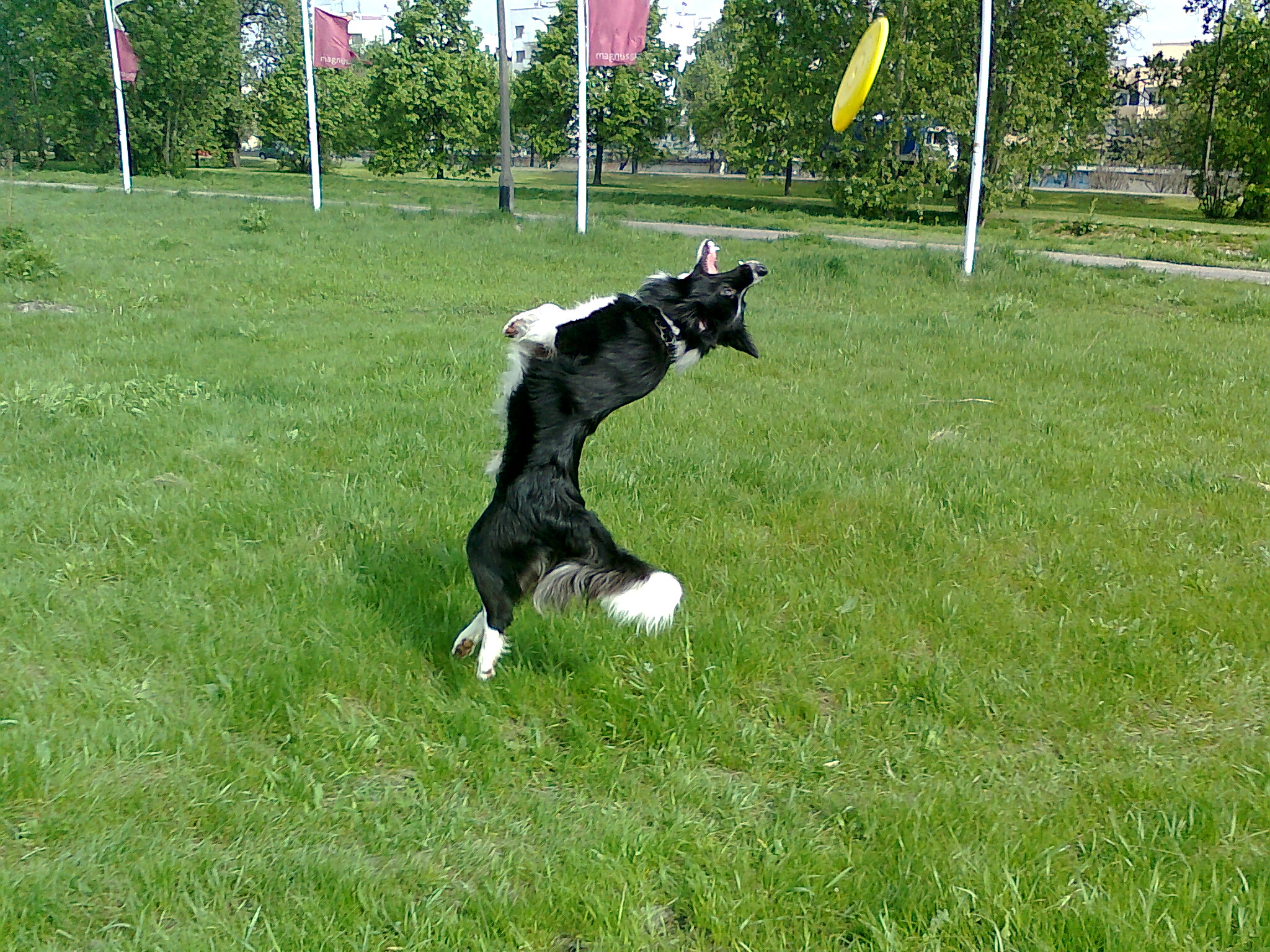 salto!!!